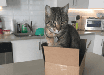 Q & A with a Microsoft Teams Expert